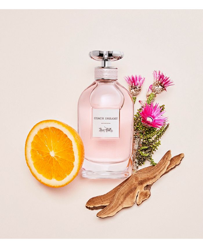 Macys coach 2025 dreams perfume