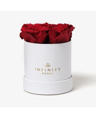Infinity Roses