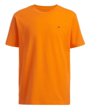 Big Boys Fashion Flag Crewneck Short Sleeve Tee