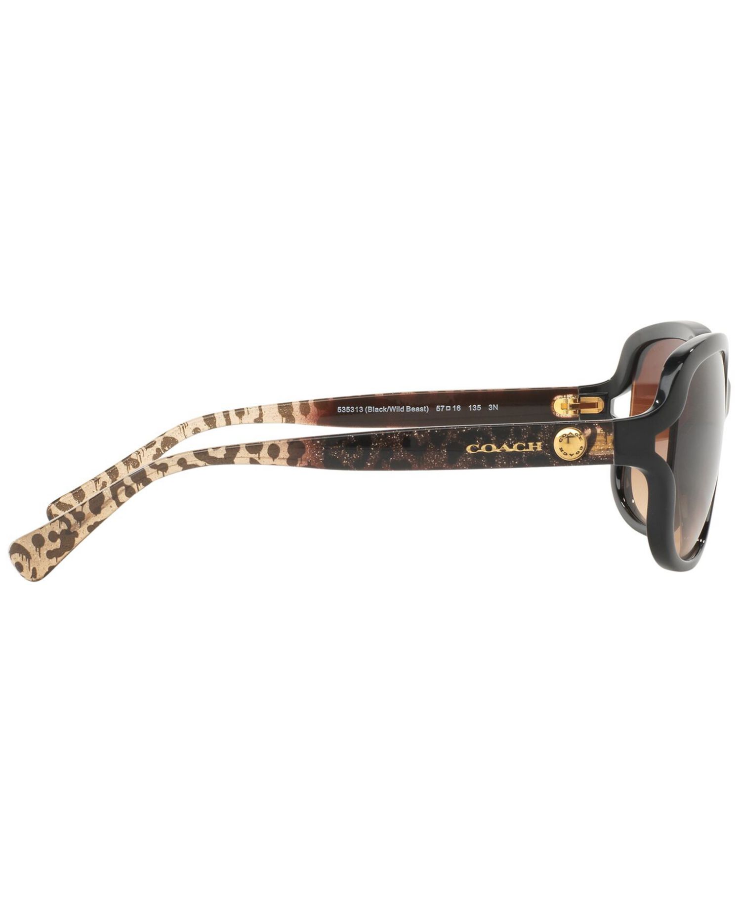 Sunglasses, HC8169