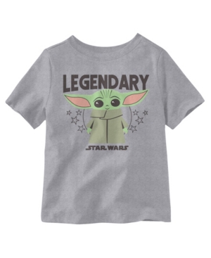 Star Wars Kids' Legendary  Short Sleeve Little Boys T-shirt In Heather Gray