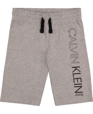 Big Boys Basic Logo Fleece Shorts