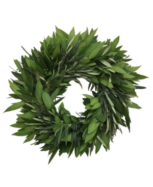 Greenishblu Fresh Seeded Eucalyptus, Bay Leaf And Rosemary Wreath, 20" In Green