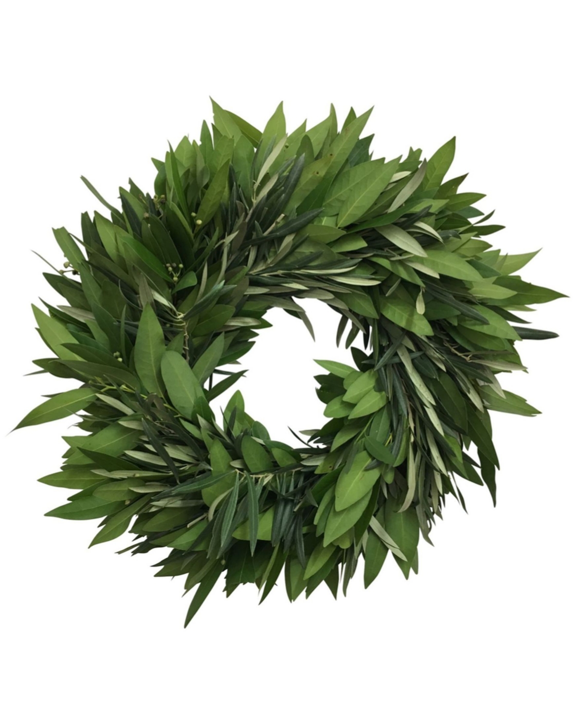 Fresh Bay Leaf and Olive Wreath, 20" - Green