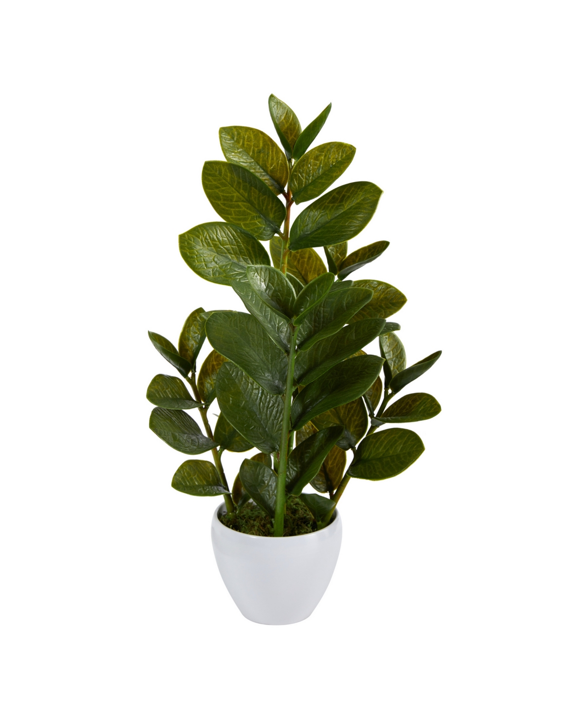 NEARLY NATURAL 22" ZAMIOCULCAS ARTIFICIAL PLANT IN PLANTER 