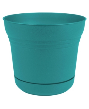 Bloem Saturn Planter with 12