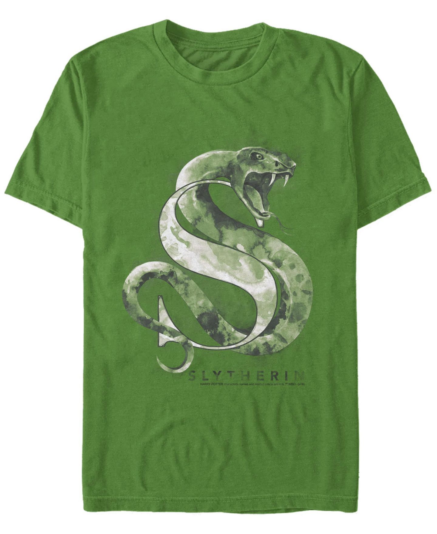 Мужская футболка Fifth Sun Slytherin Mystic Short Sleeve Crew, цвет: Kelly — фото 1