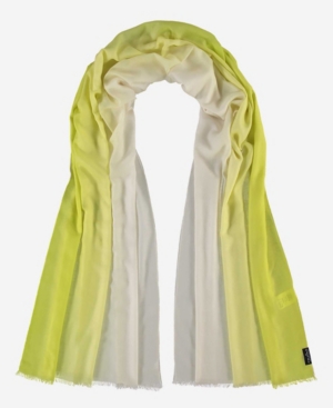 V Fraas Women's Shaded Ombre Scarf In Lime