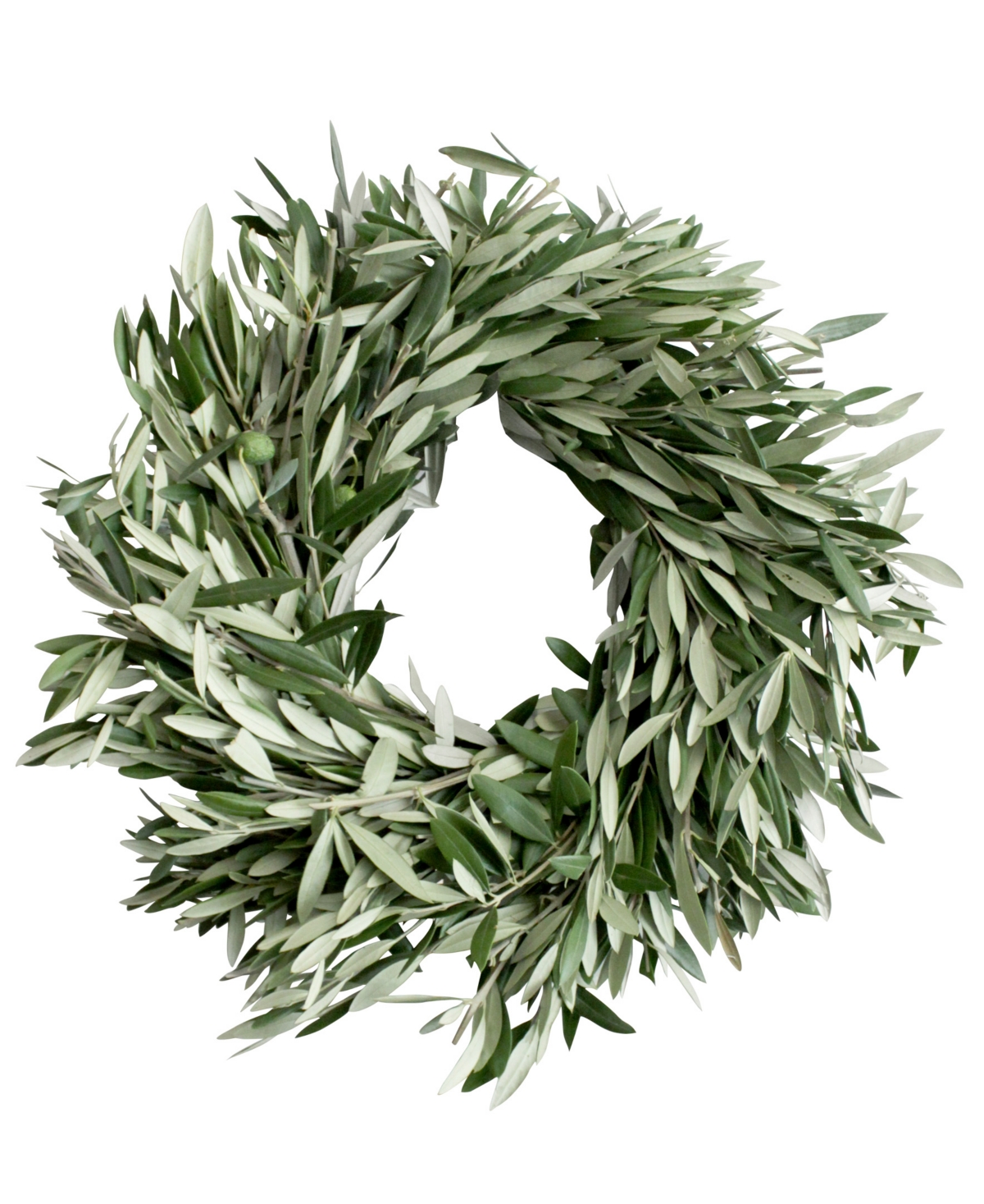 Fresh Olive Wreath, 20"