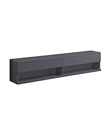 Ximena Floating TV Stand