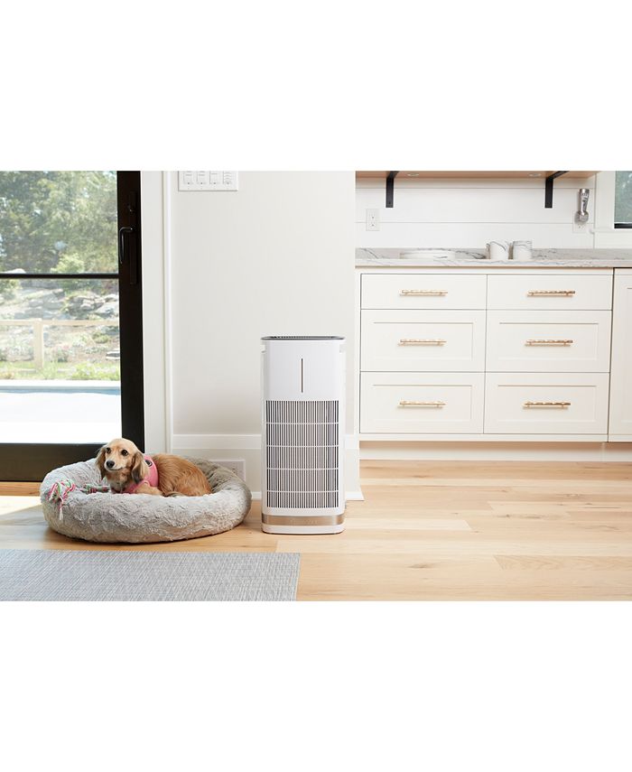 cuisinart purxium