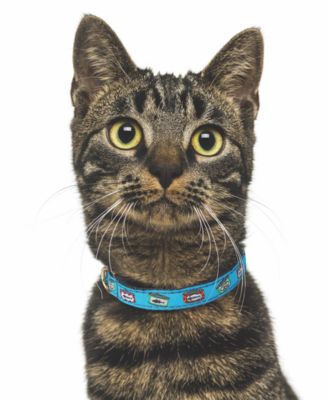 Up Country - Cat Collar