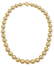 Cultured Golden South Sea Pearl (10-12-1/2mm) Strand 18" Collar Necklace