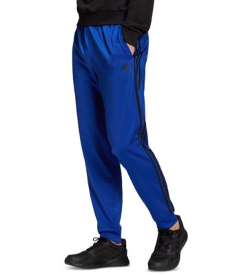 bold blue adidas pants