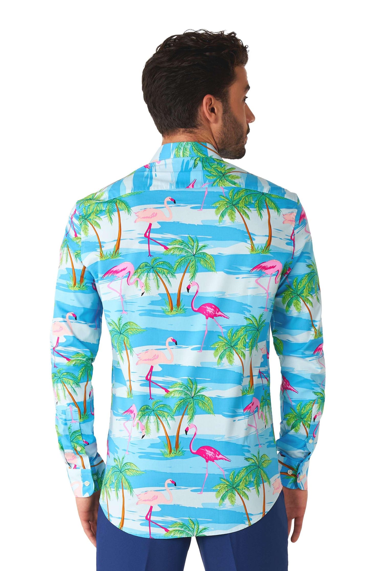 Men's SHIRT LS Flaminguy