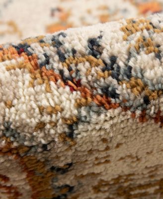 Allure Ara 7'9" x 9'9" Area Rug