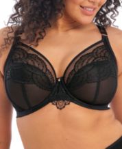 FASHION BONES Pure Cotton Full Coverage Daily Use Bra for Women and Teenage  Girls | Non Padded | Wire Free | Available in All Cup Sizes A B C D DD 