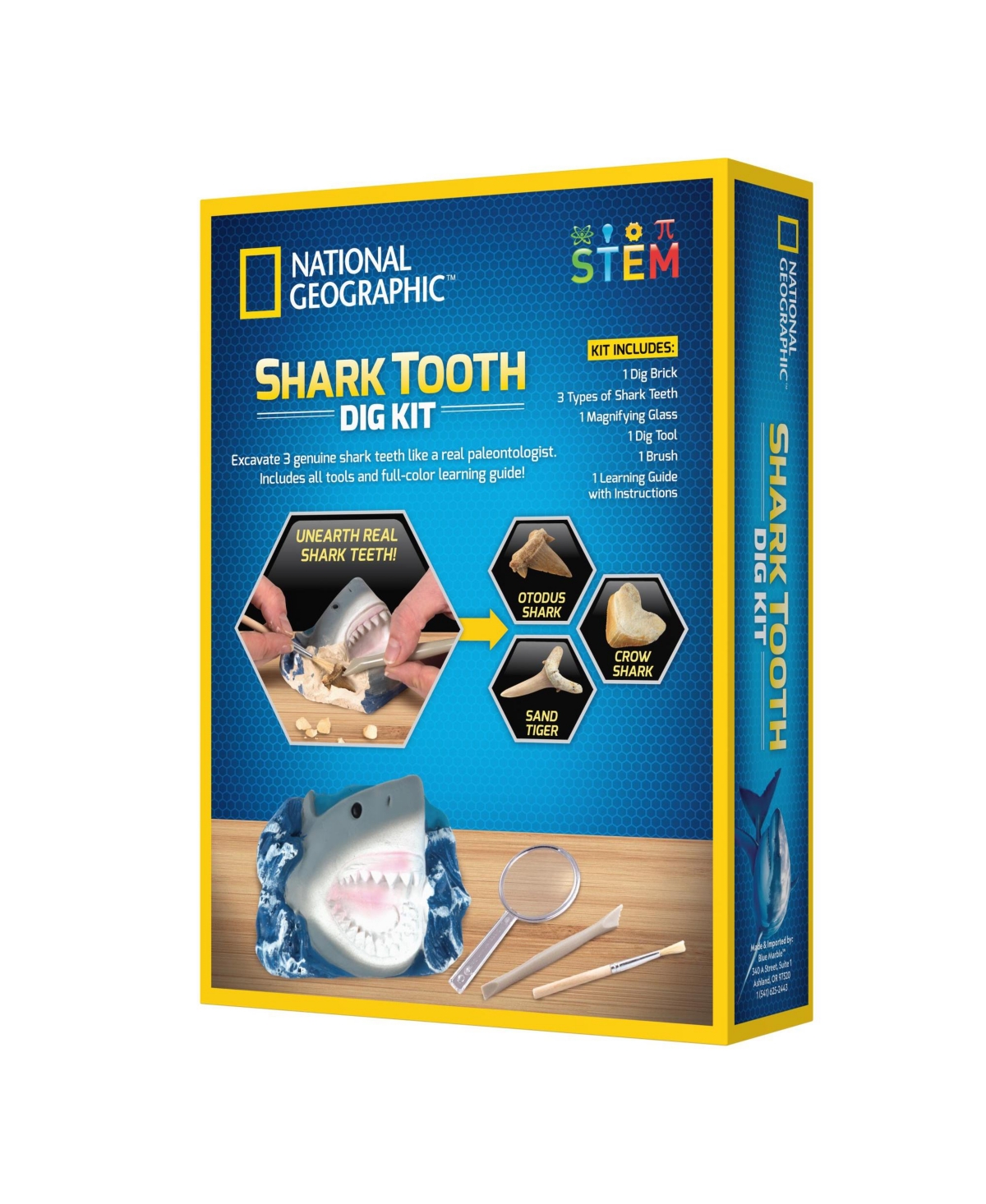 Shop National Geographic Shark Tooth Dig Kit In N,a