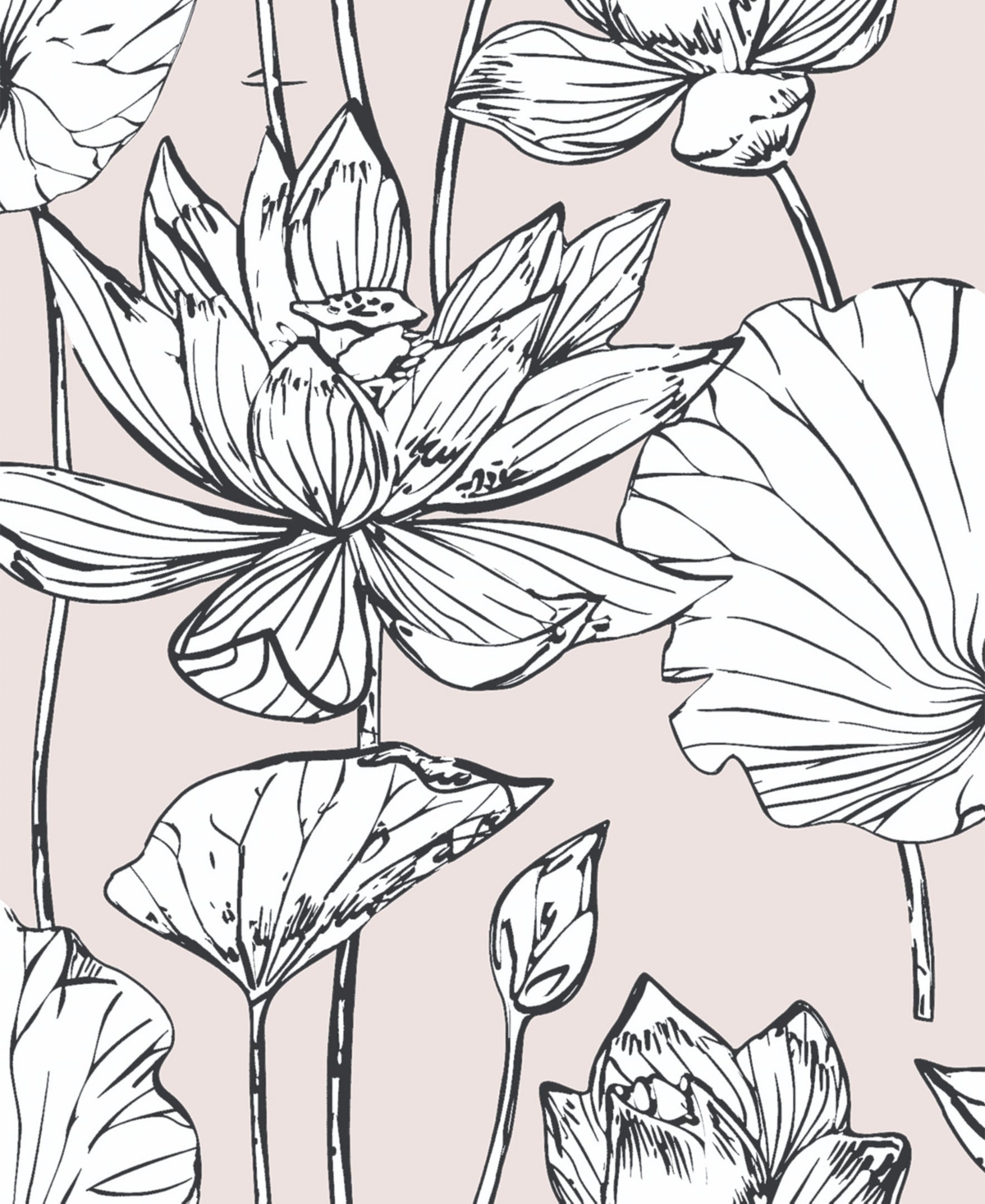 Nextwall Lotus Floral Peel And Stick Wallpaper In Blush Ebony | ModeSens