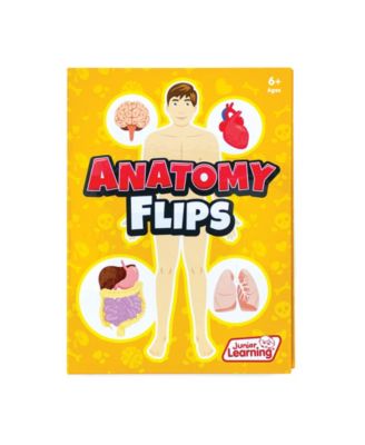 Junior Learning Anatomy Flips Educational Learning Book
