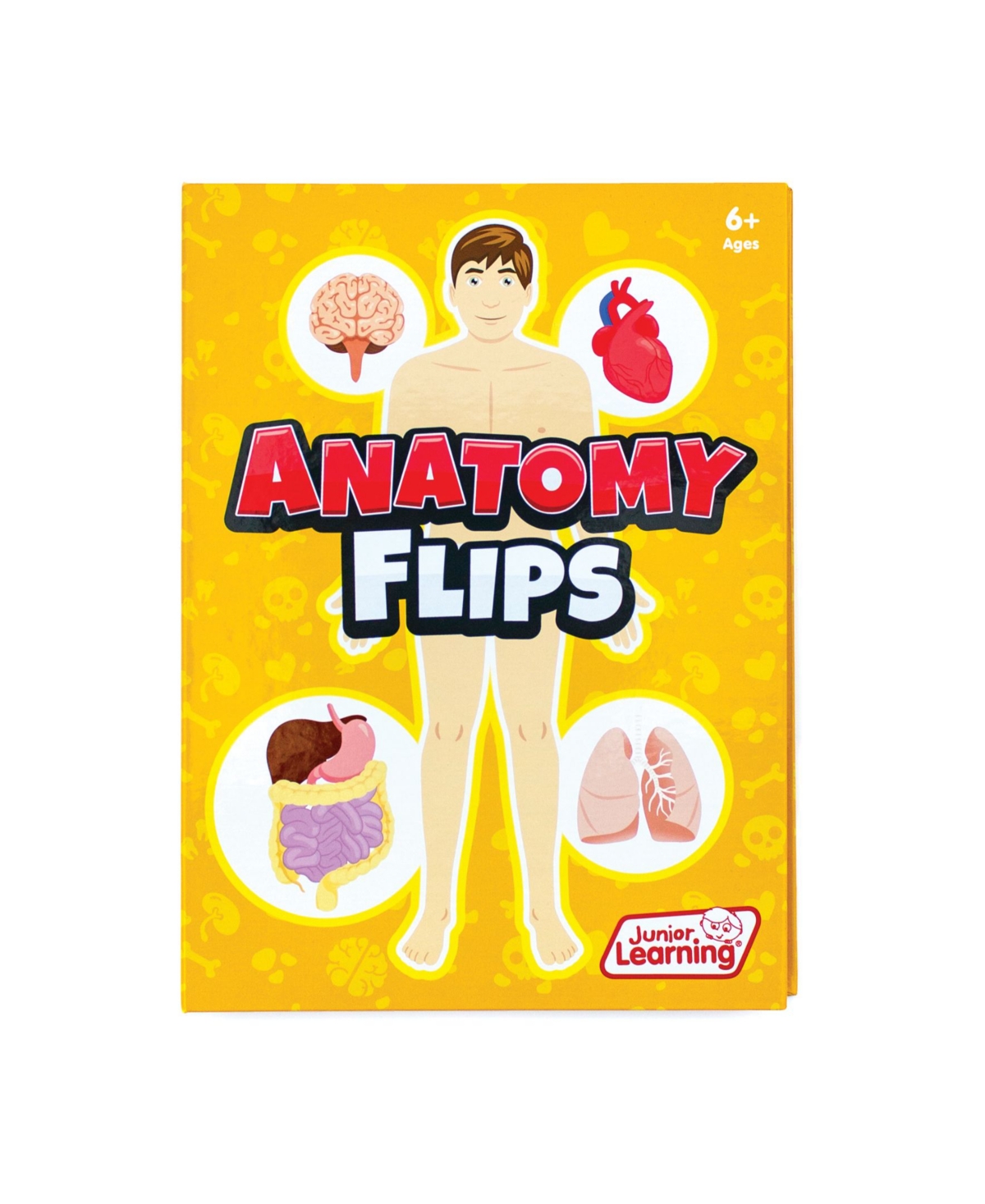Junior Learning Kids' Anatomy Flips Educational Learning Book In Multi