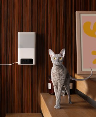 Petcube Bites 2 Lite Smart HD Pet Camera with Treat Dispenser
