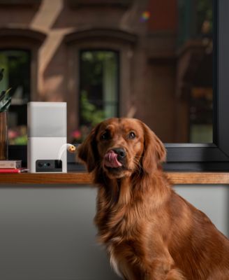 Petcube Bites 2 Lite Smart HD Pet Camera with Treat Dispenser