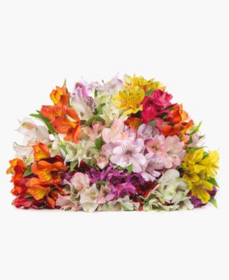 BloomsyBox