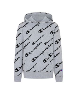 Champion terry hoodie best sale