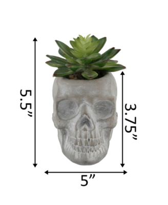 5" Artificial Succulent in Cement Sugar Skull