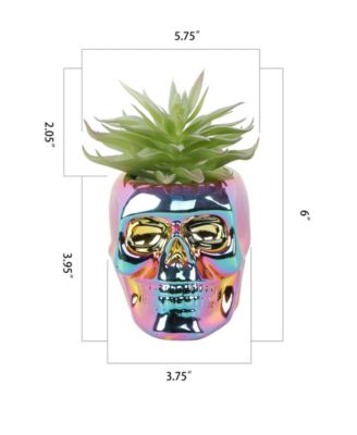 6" Artificial Succulent in Metallic Iridescent Skull Ceramic