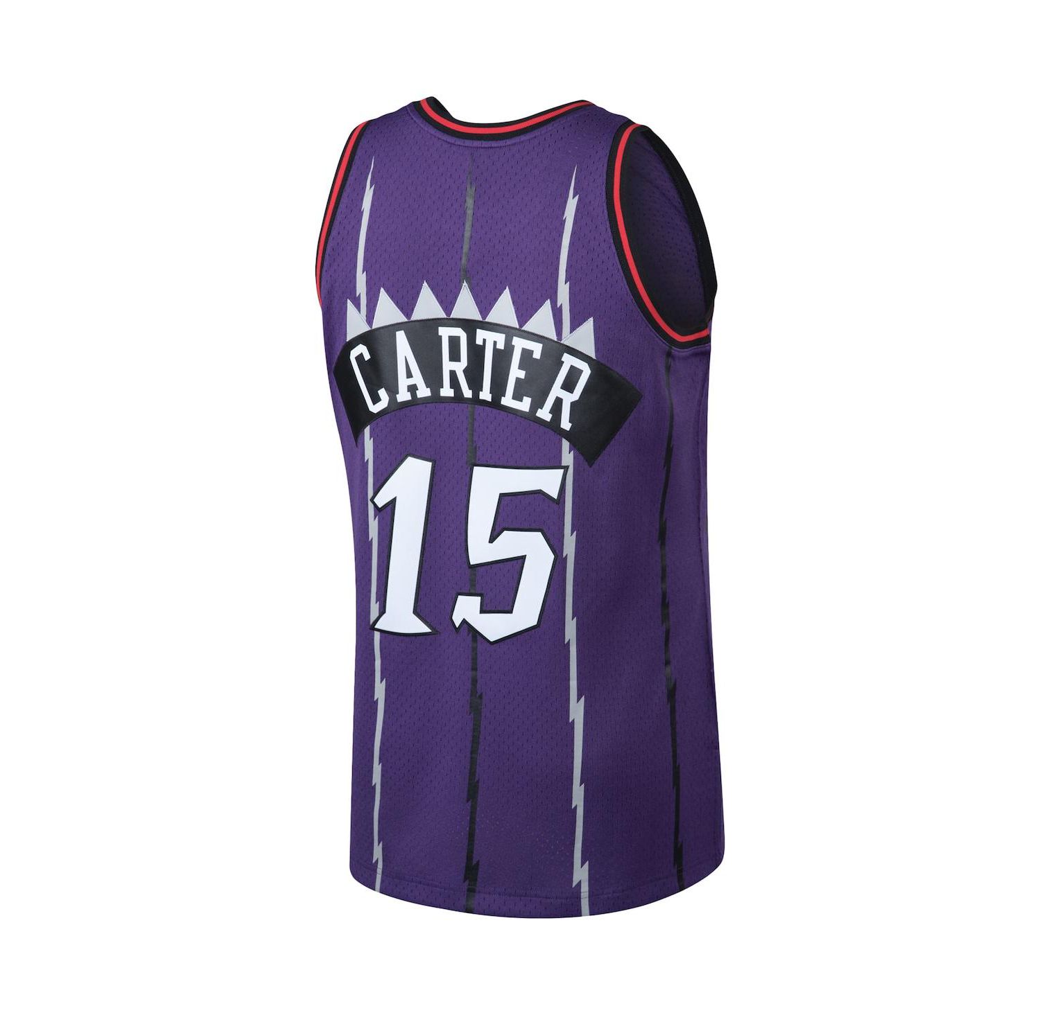 Men's Vince Carter Purple Toronto Raptors Big and Tall Hardwood Classics Jersey
