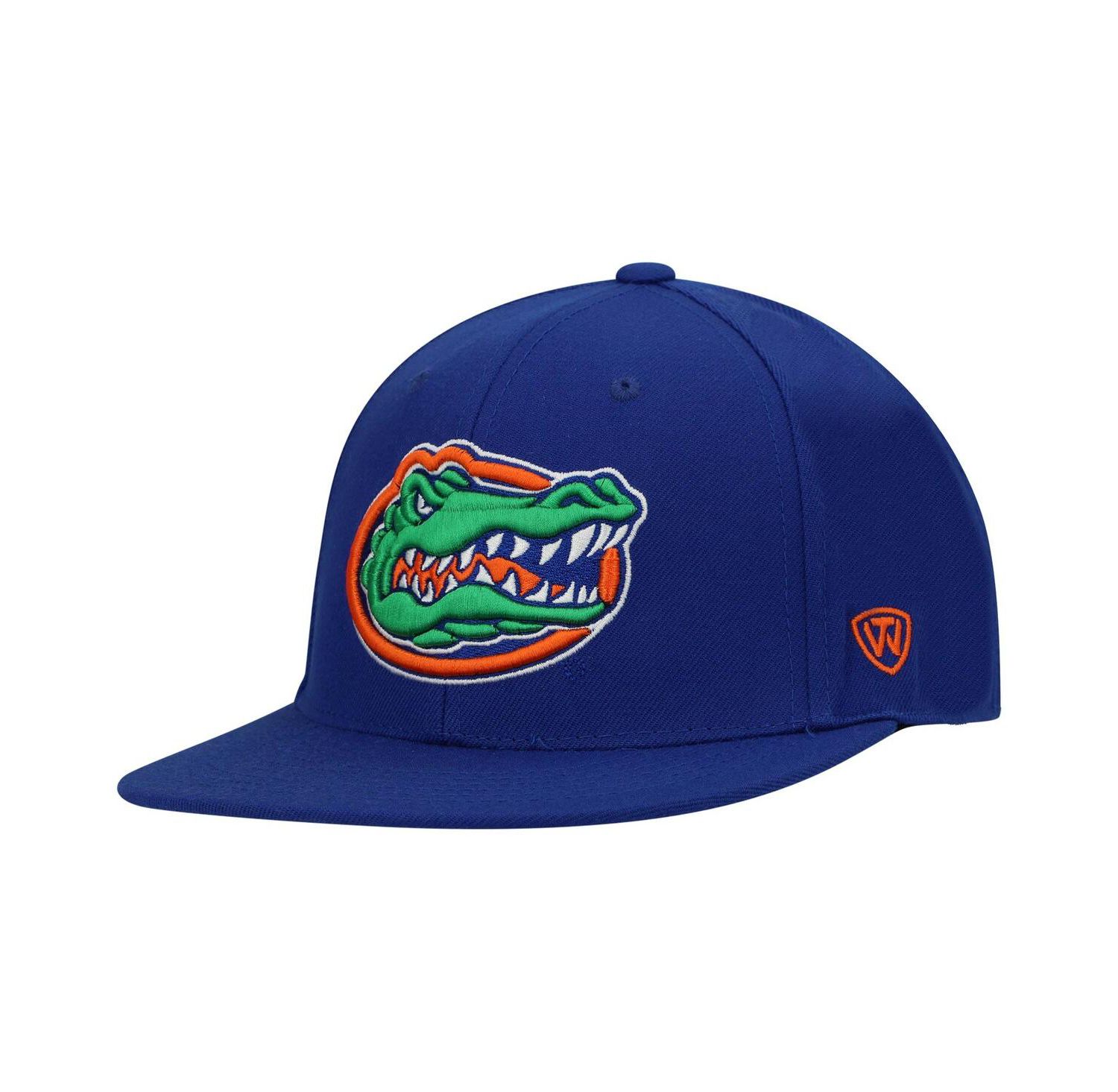 Men's Royal Florida Gators Team Color Fitted Hat