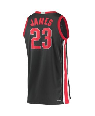 Men's LeBron James Ohio State Buckeyes Alumni Player Limited Basketball Jersey