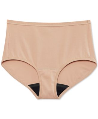 Women's Worry Free Brief Underwear 2580
