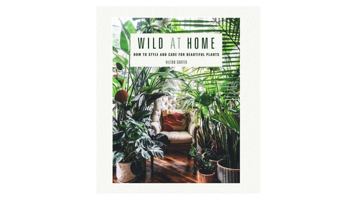 ISBN 9781782497134 product image for Wild at Home - How to style and care for beautiful plants by Hilton Carter | upcitemdb.com