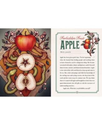 The Illustrated Herbiary - Guidance and Rituals from 36 Bewitching Botanicals by Maia Toll