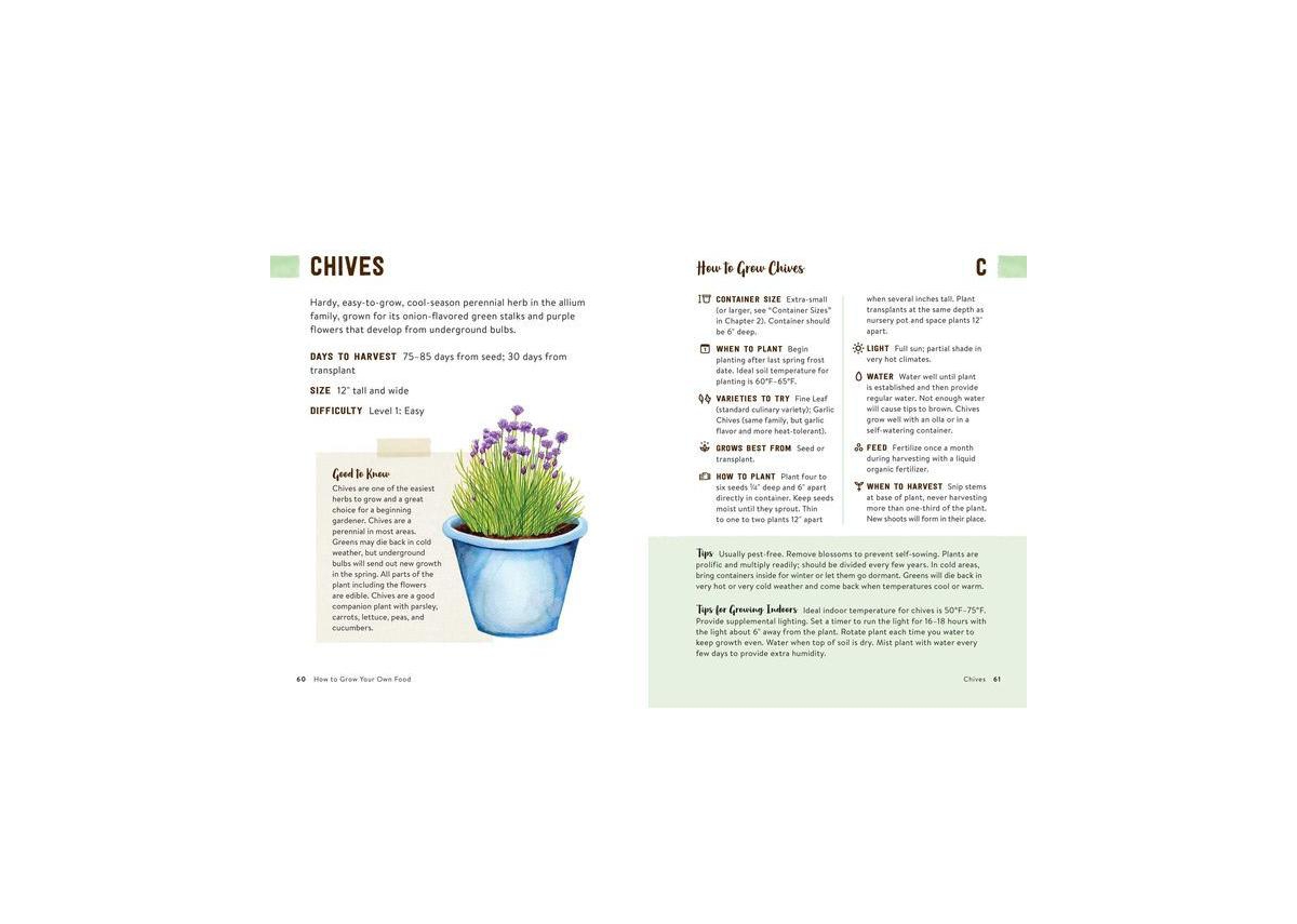How to Grow Your Own Food - An Illustrated Beginner's Guide to Container Gardening by Angela S. Judd