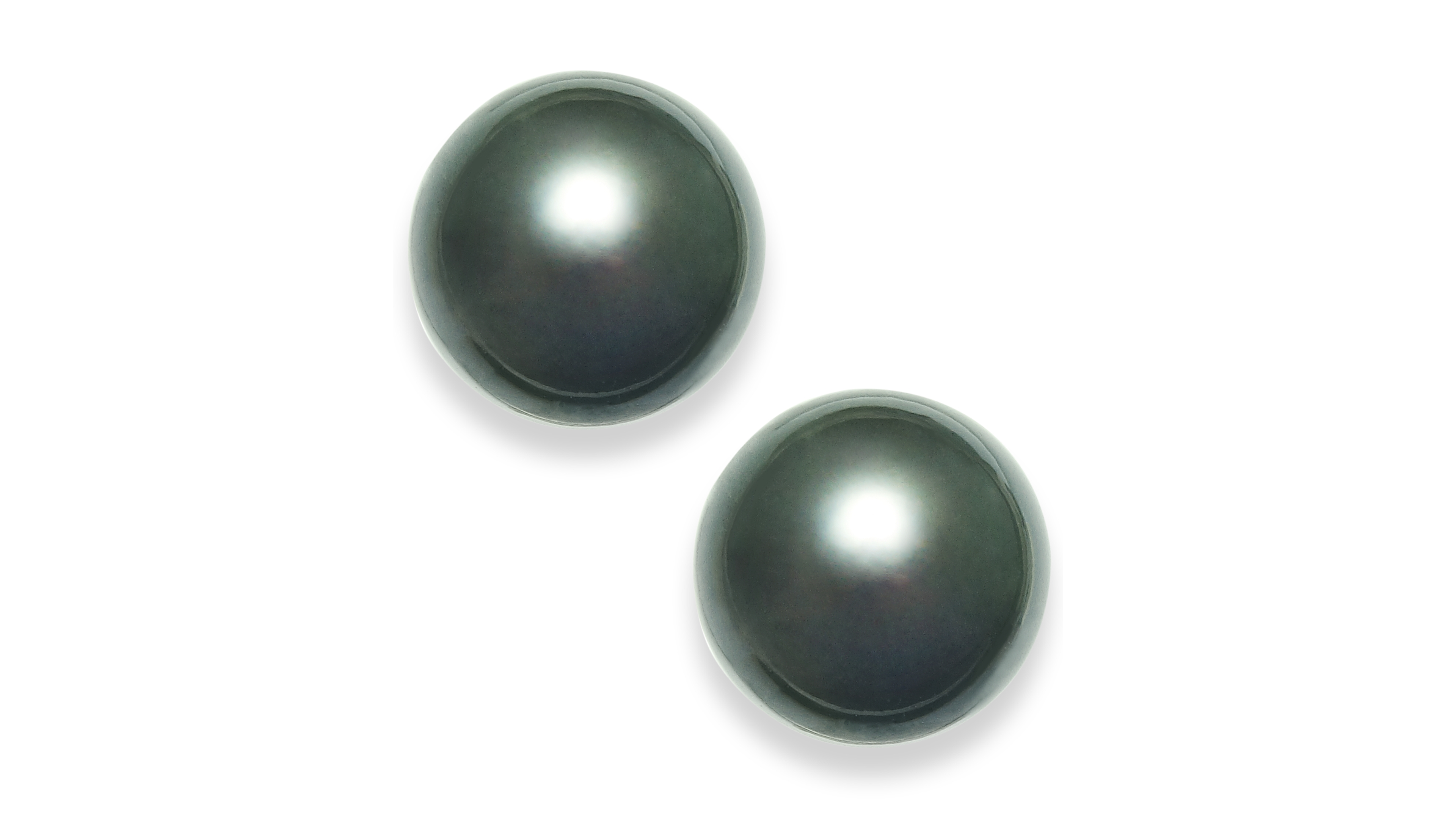 Tahitian Pearl (14mm) Stud Earrings in 14k White Gold