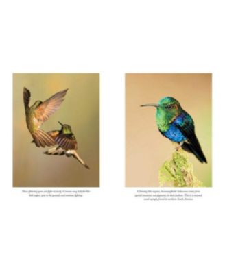 The Hummingbirds' Gift - Wonder, Beauty, and Renewal on Wings by Sy Montgomery