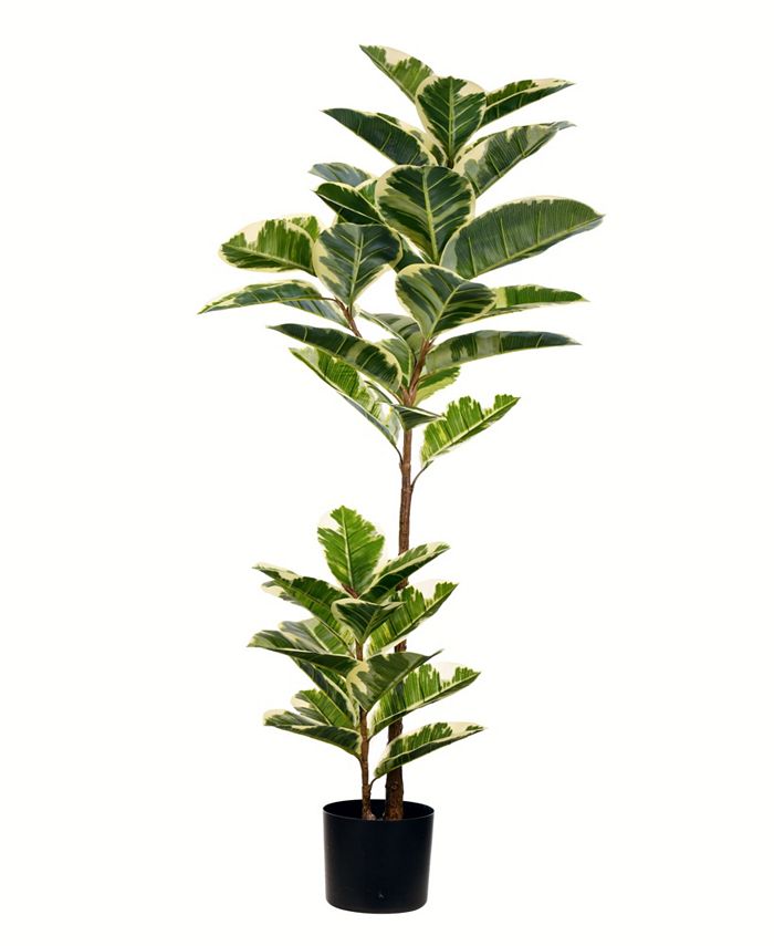 Vickerman 50" Artificial Potted Real Touch Dieffenbachia Macy's