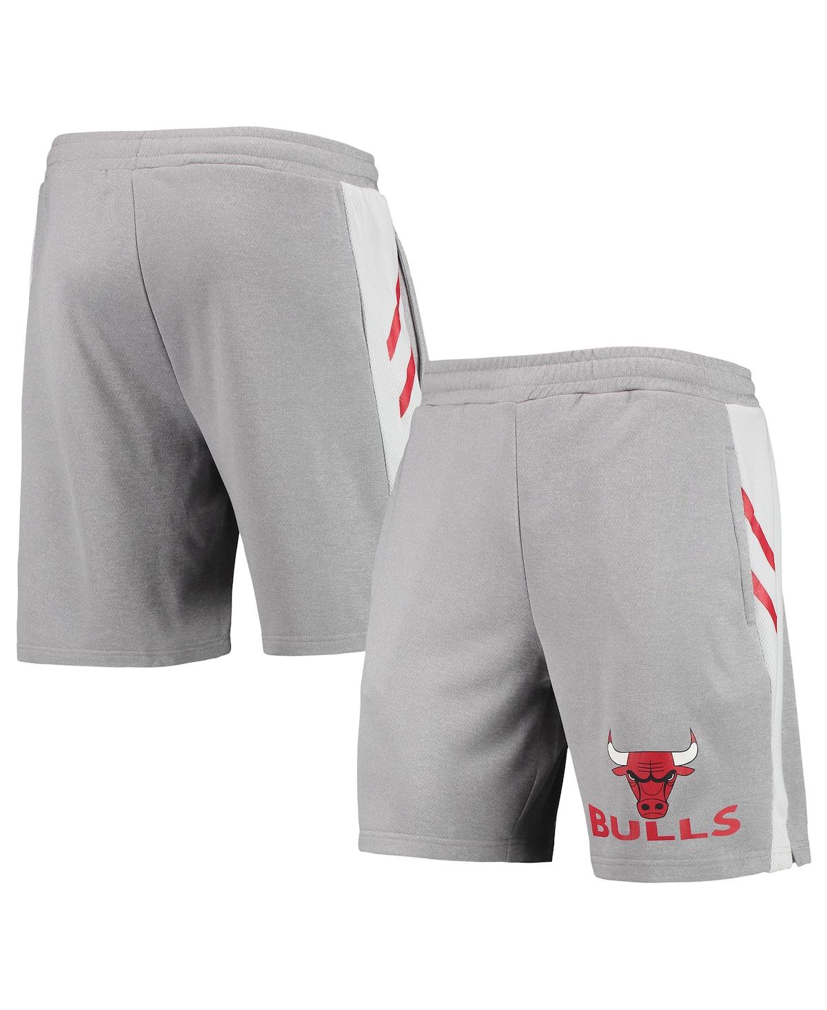 Shop Concepts Sport Men's  Gray Chicago Bulls Stature Shorts