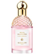 Insolence perfume macy's cheap