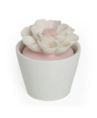 BluZen - Succulents Pot Oil Diffuser