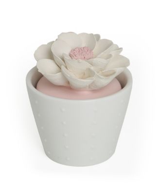 BluZen The Succulent Oil Diffuser Set - Macy's