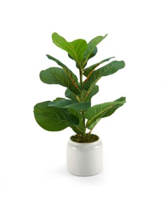 Artificial Plastic Fiddlehead Greenery in Ivory Pot, 20"