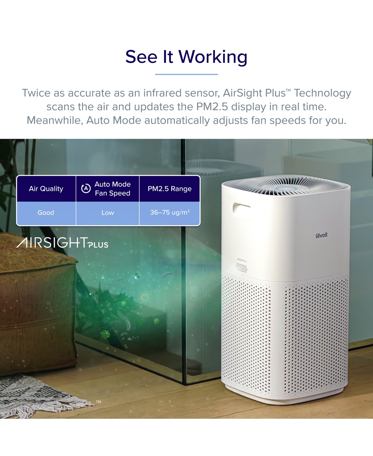 Shop Levoit Vesync Plasmapro 600s Smart True Hepa Air Purifier In White