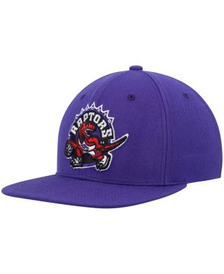 Toronto Raptors Mitchell & Ness Hardwood Classics Team Ground 2.0