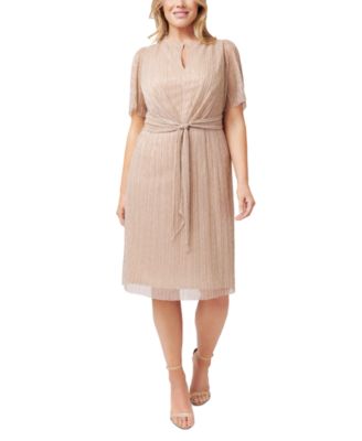 Adrianna Papell - Plus Size Crinkle Mesh Dress