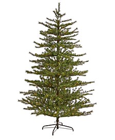 Vancouver Mountain Pine Artificial Christmas Tree with Lights and Bendable Branches, 84"